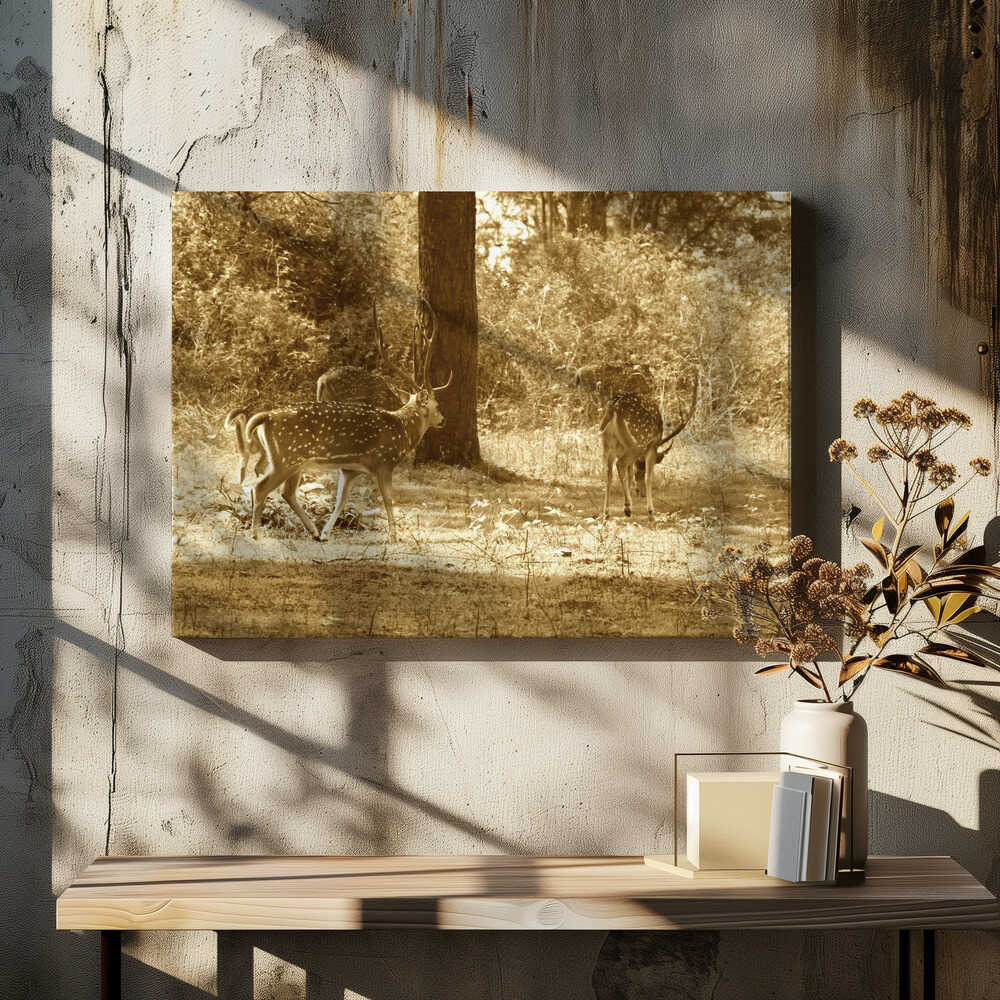 Majestic Deer Stroll