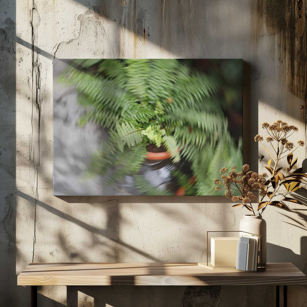 Swirling Fern Motion