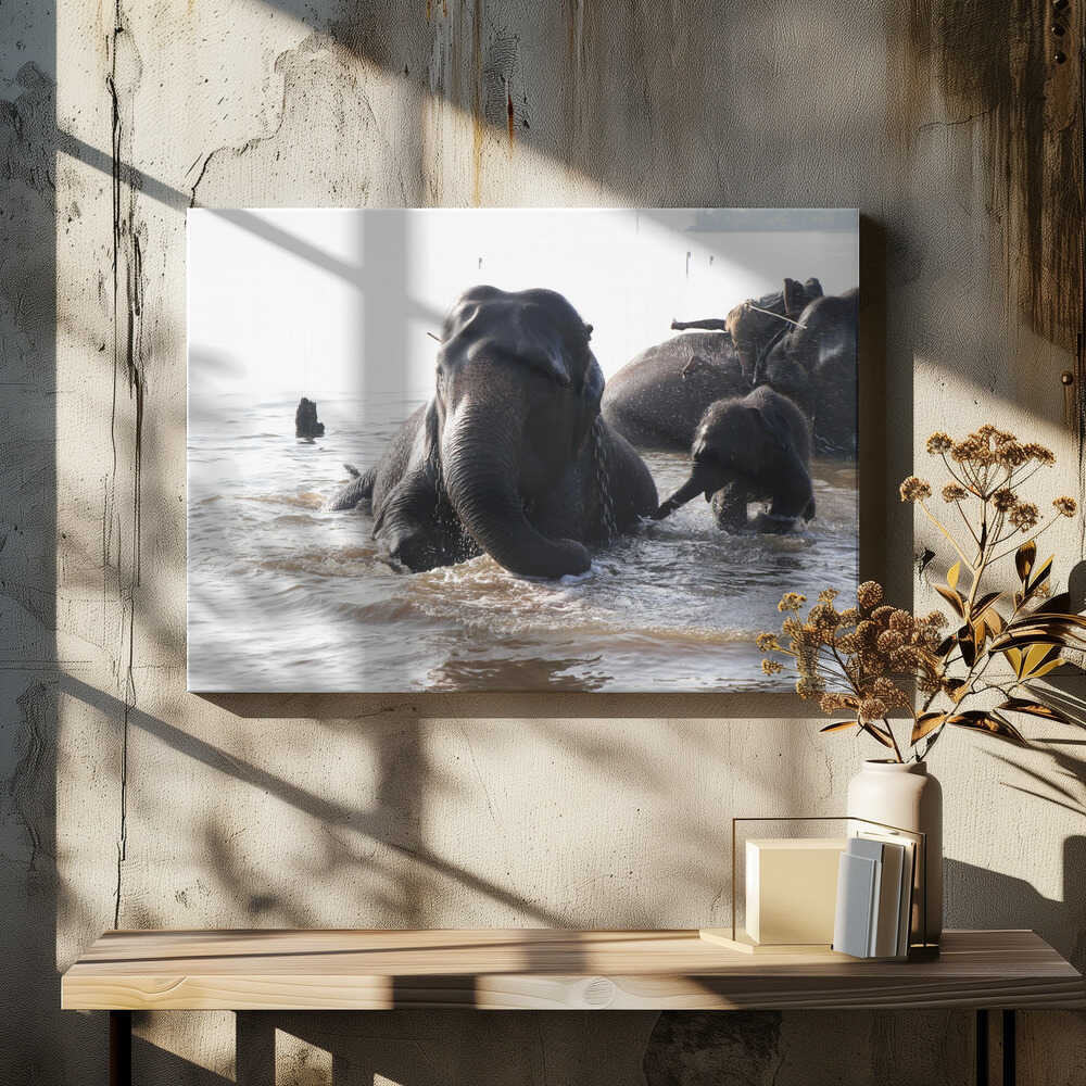 Elephant Splashing Joy