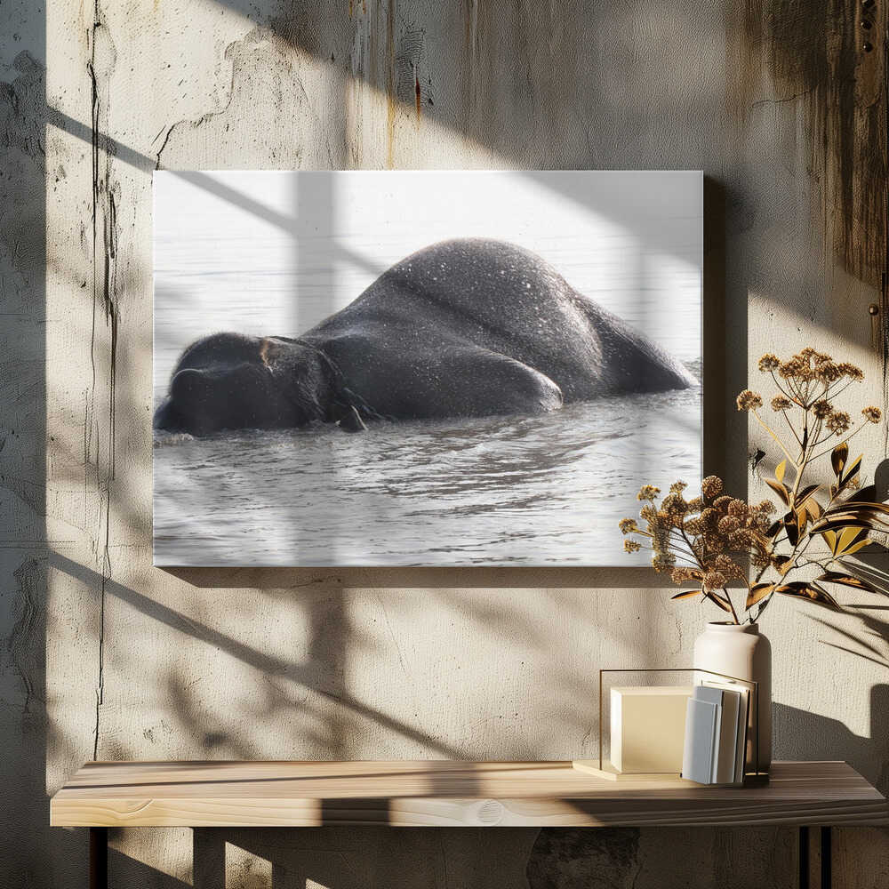 Elephant's Bathing Bliss
