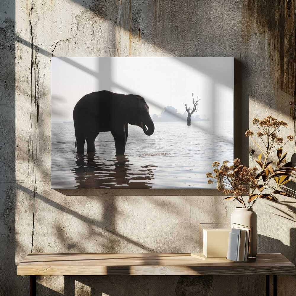 Elephant in the Mist