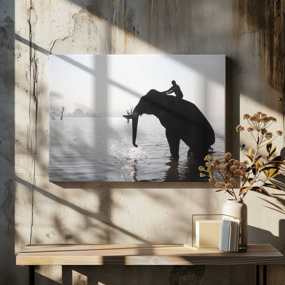 Elephant's Morning Stroll