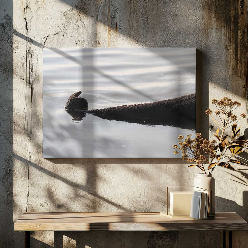 Elephant Trunk Glimpse