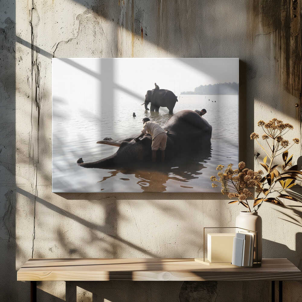 Elephant Bathing Ritual