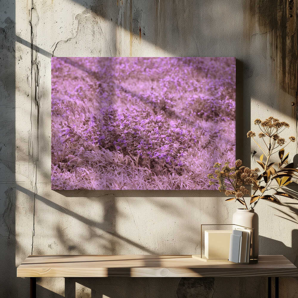 Lavender Tranquility