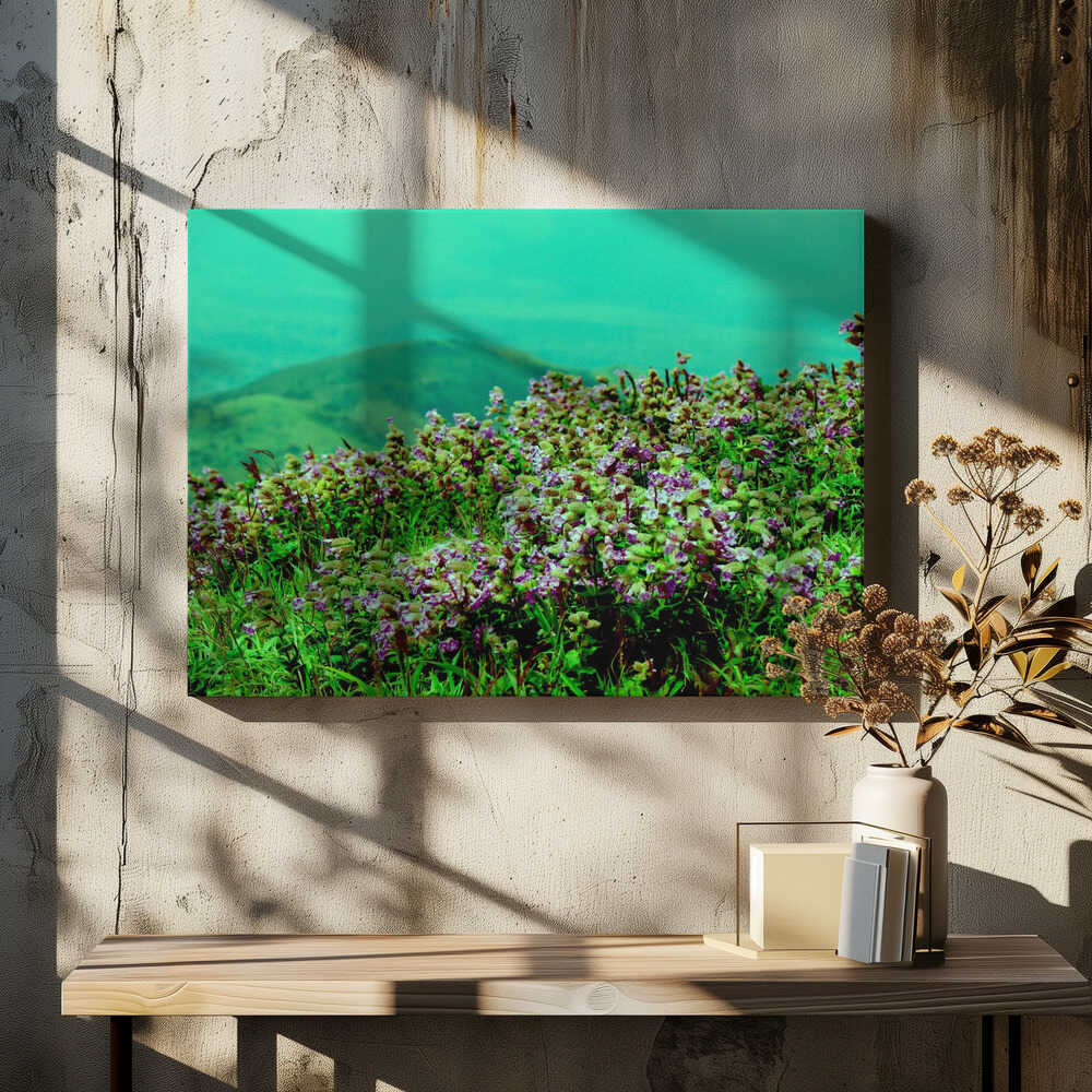 Mountain Blossom View