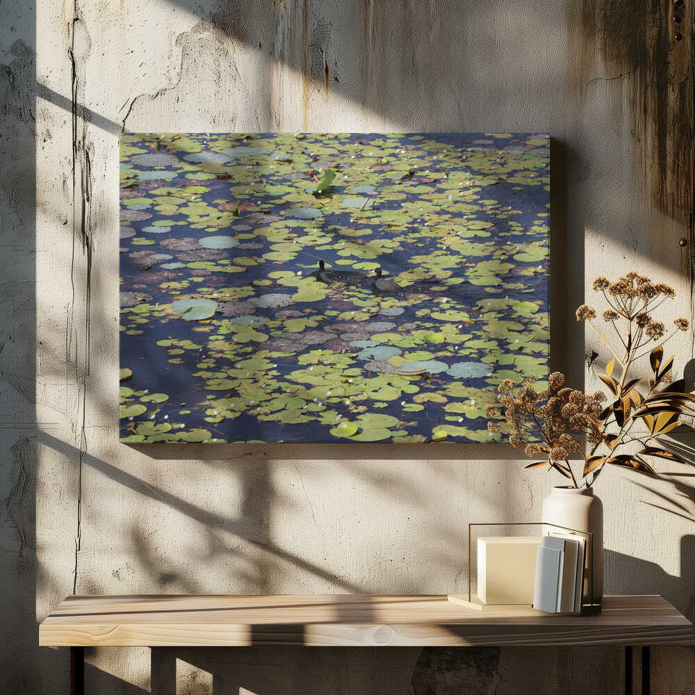 Lilies and Waterfowl