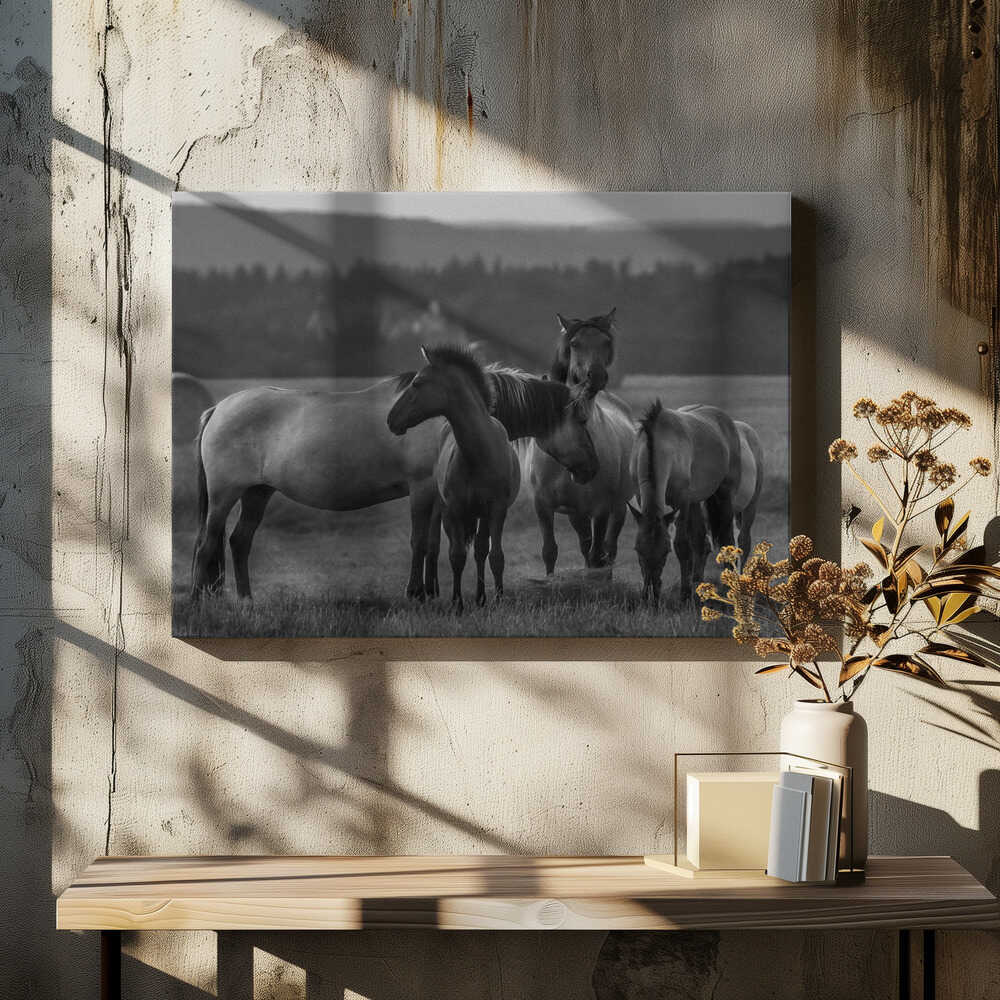 a short story about the evening shadows