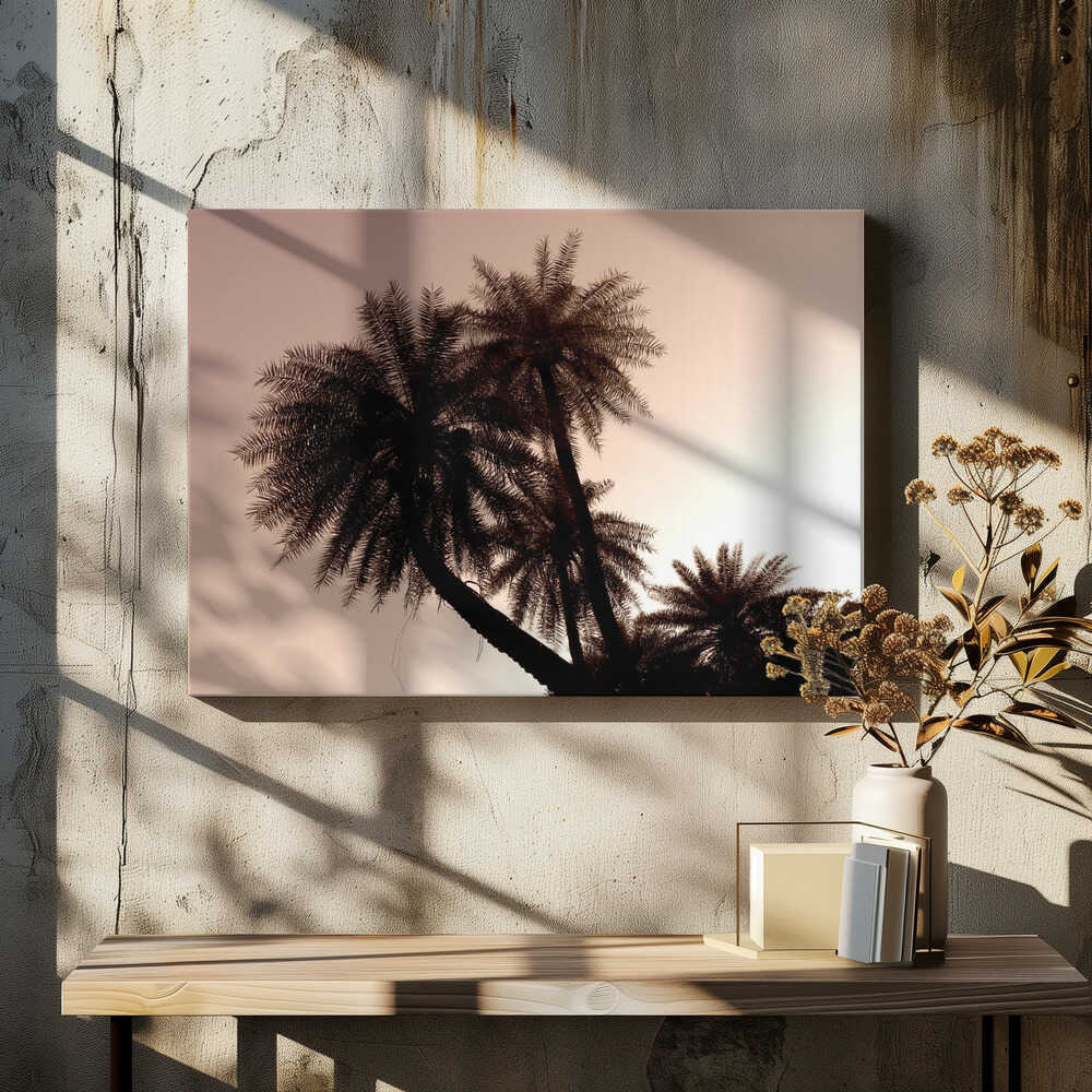 Palm Silhouette Glow