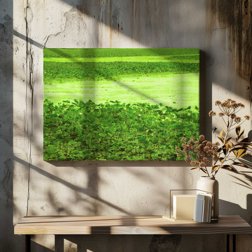 Lush Green Tranquility