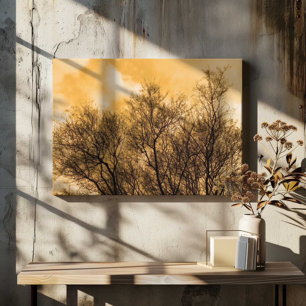 Silhouetted Branches