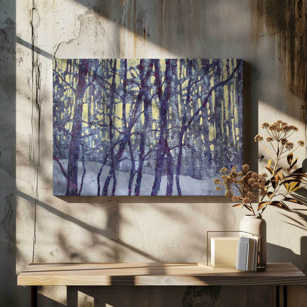 Winter's Silent Glow