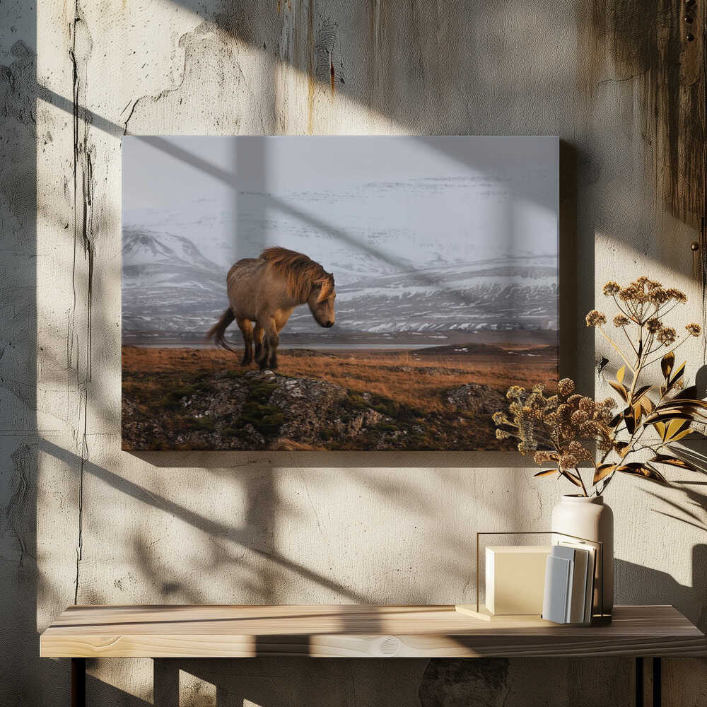 A gleam from the sun