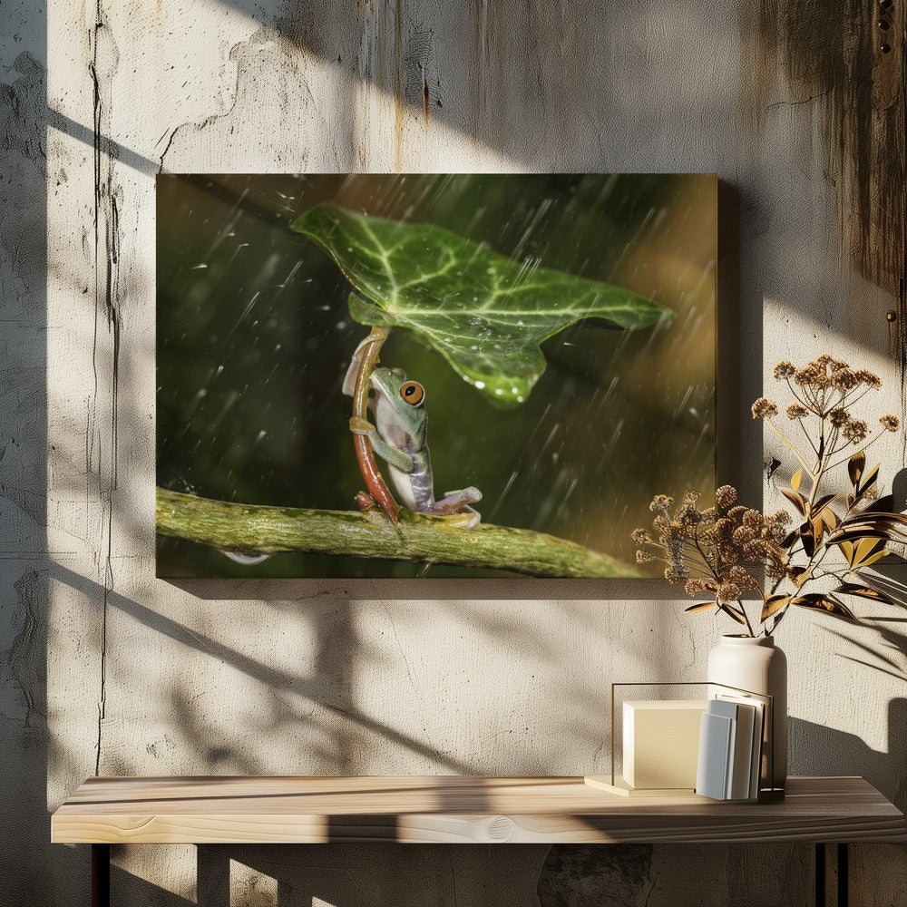 Ohh Noo :( It's Raining