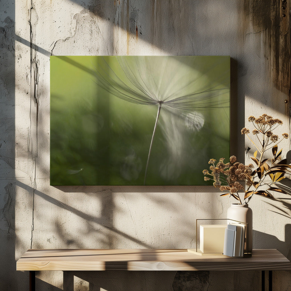 Shadows in the green