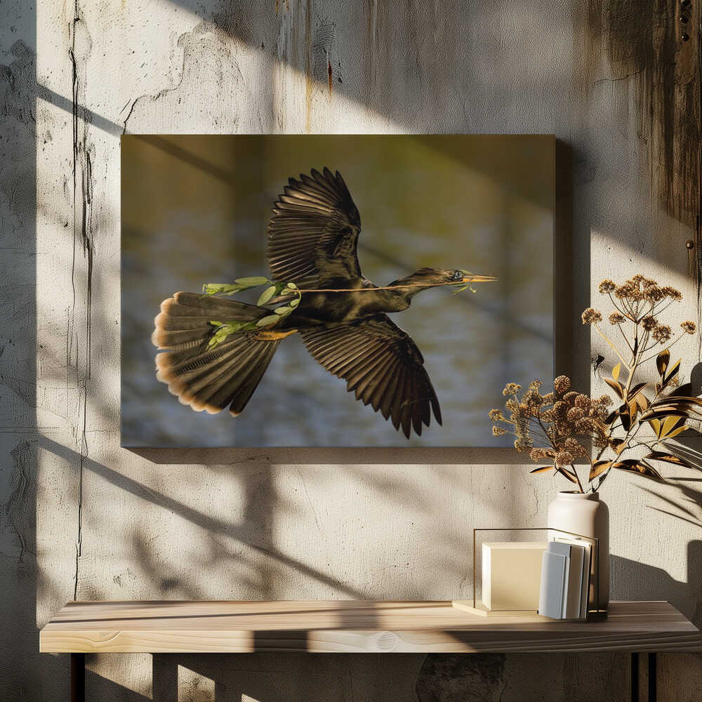 Returning to nest !!!