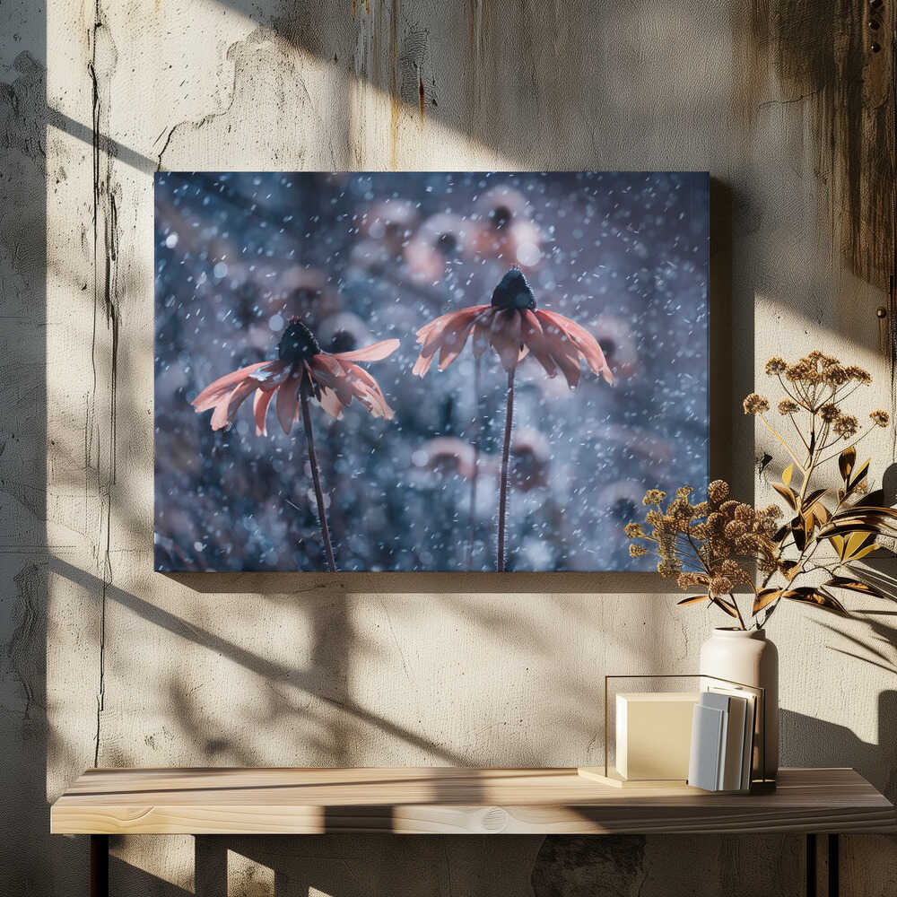 La Fraicheur d'un Matin d'été