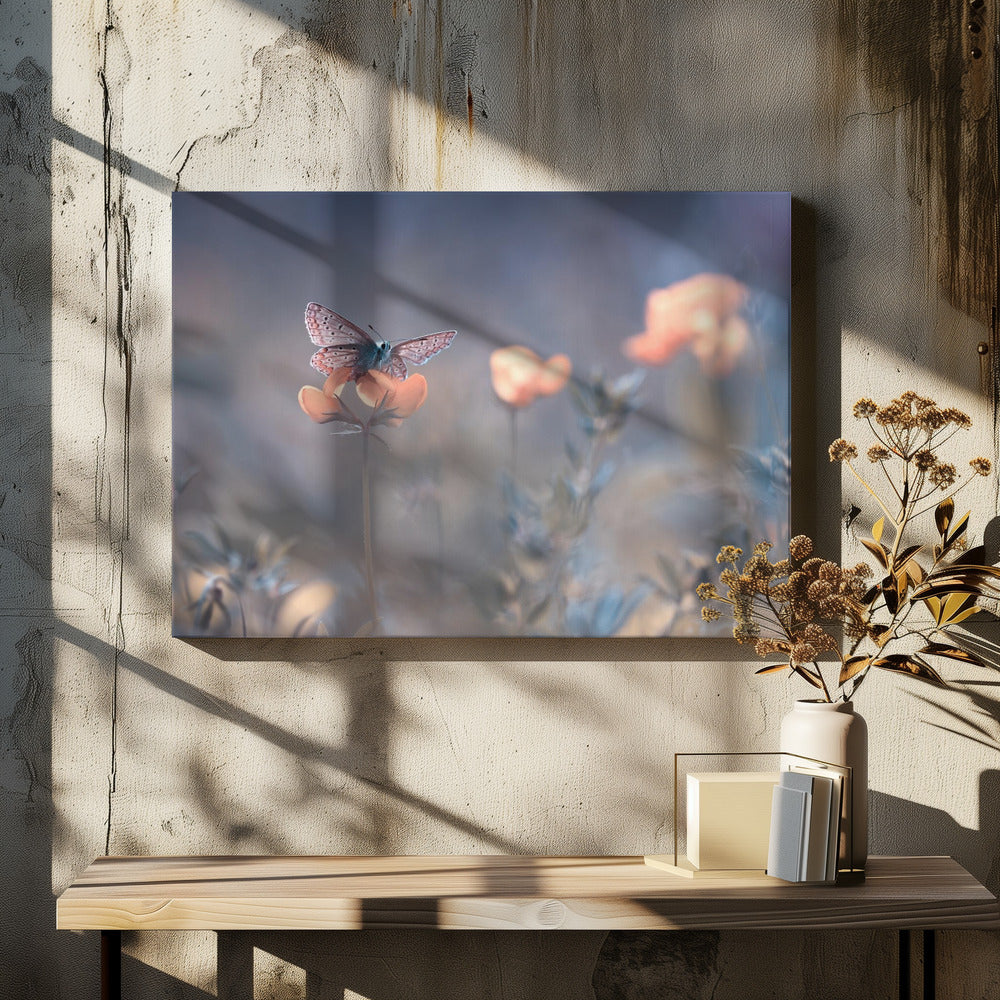 The Lady of Lothlorien