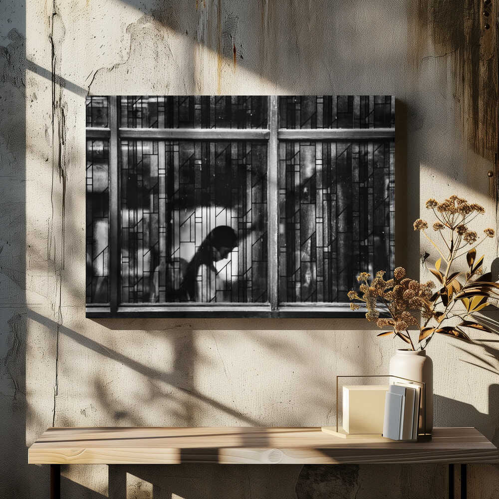 The girl at the window