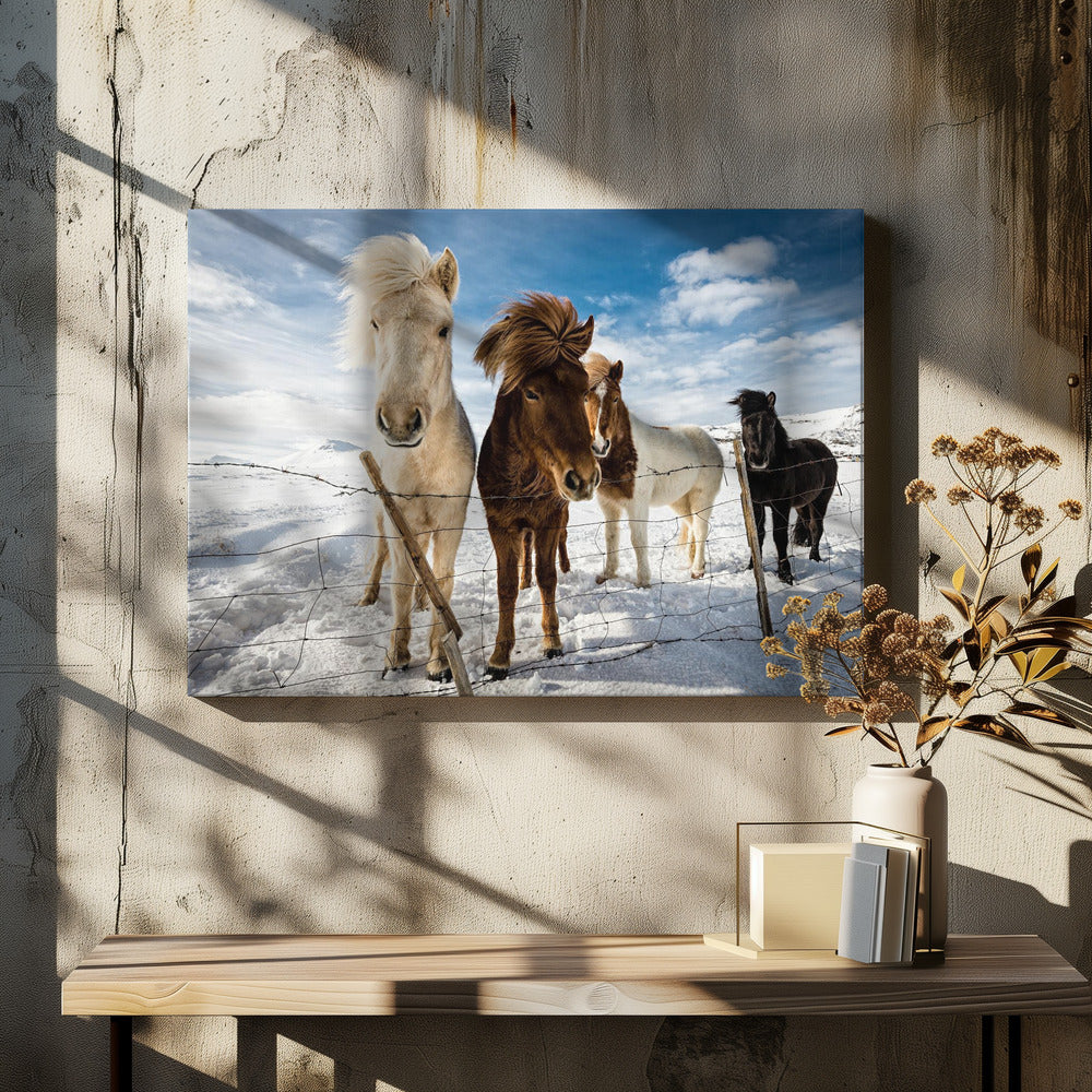 Icelandic Hair Style