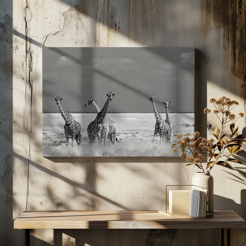 Look Girl Strange Animals