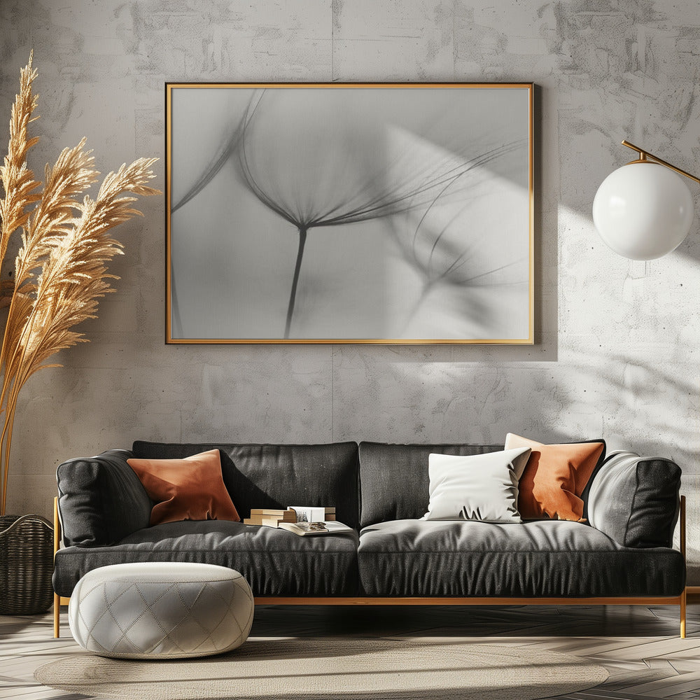 Art Prints of Tragopogon