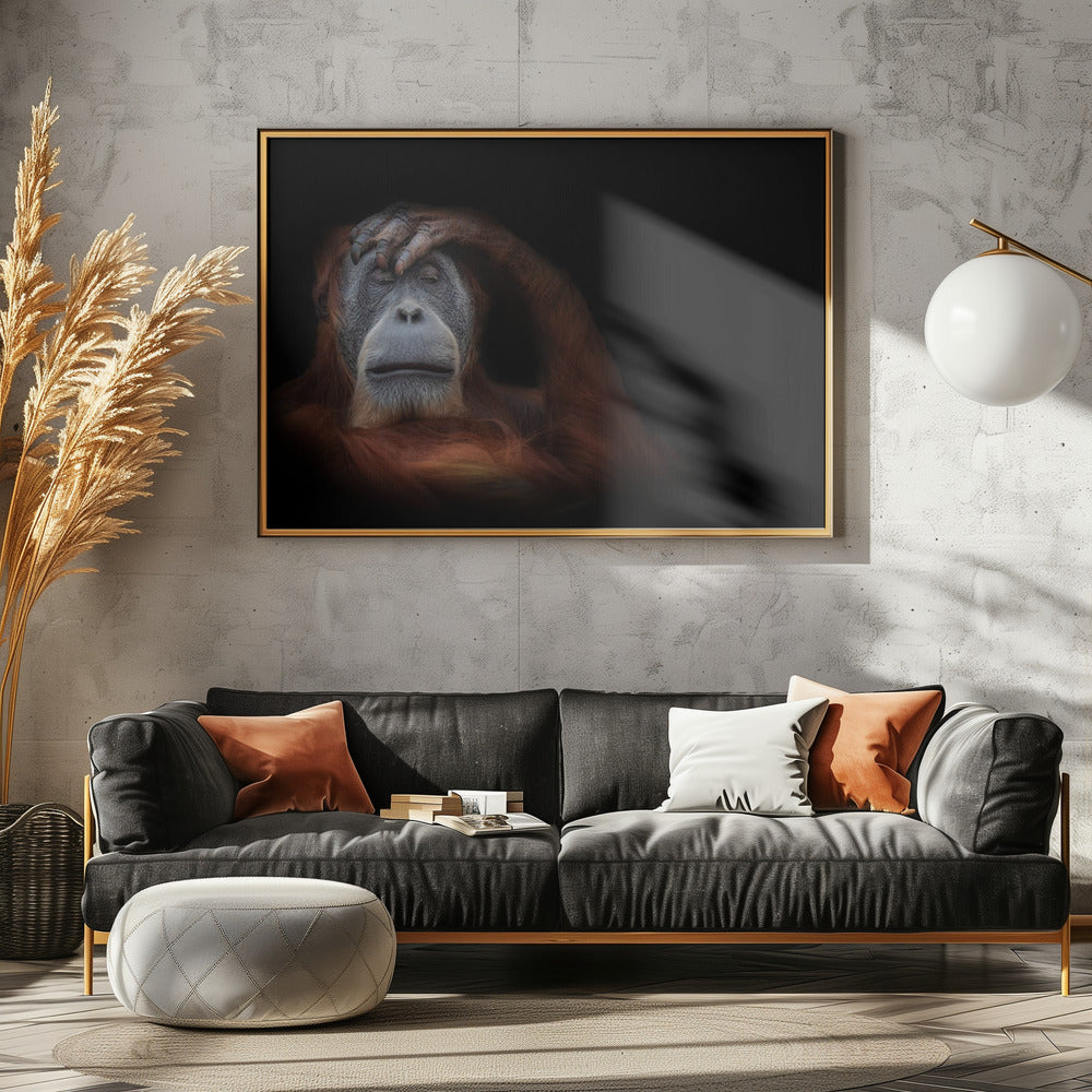 Art Prints of sleeping beauty