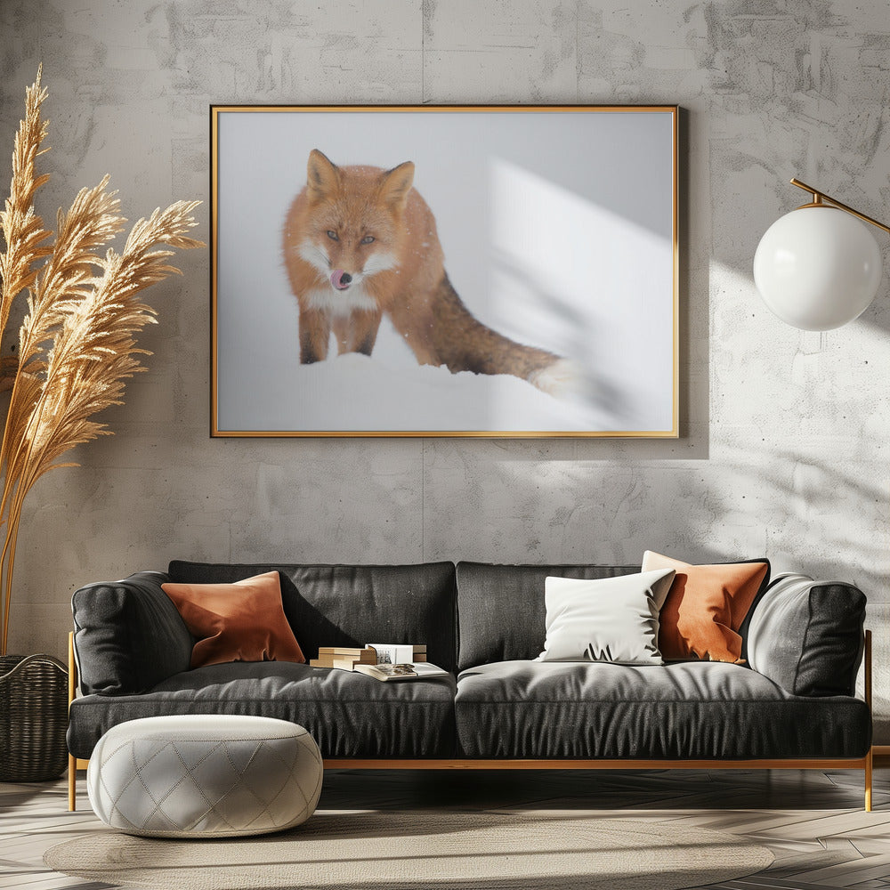 Art Prints of Where is the hare?