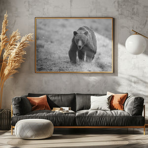Canvas Art Print The Bear is here