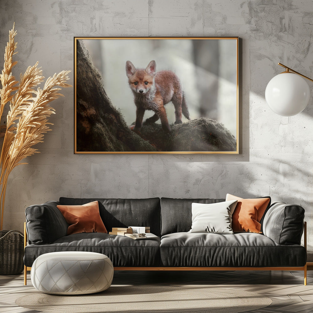 Canvas Art Print Little red fox