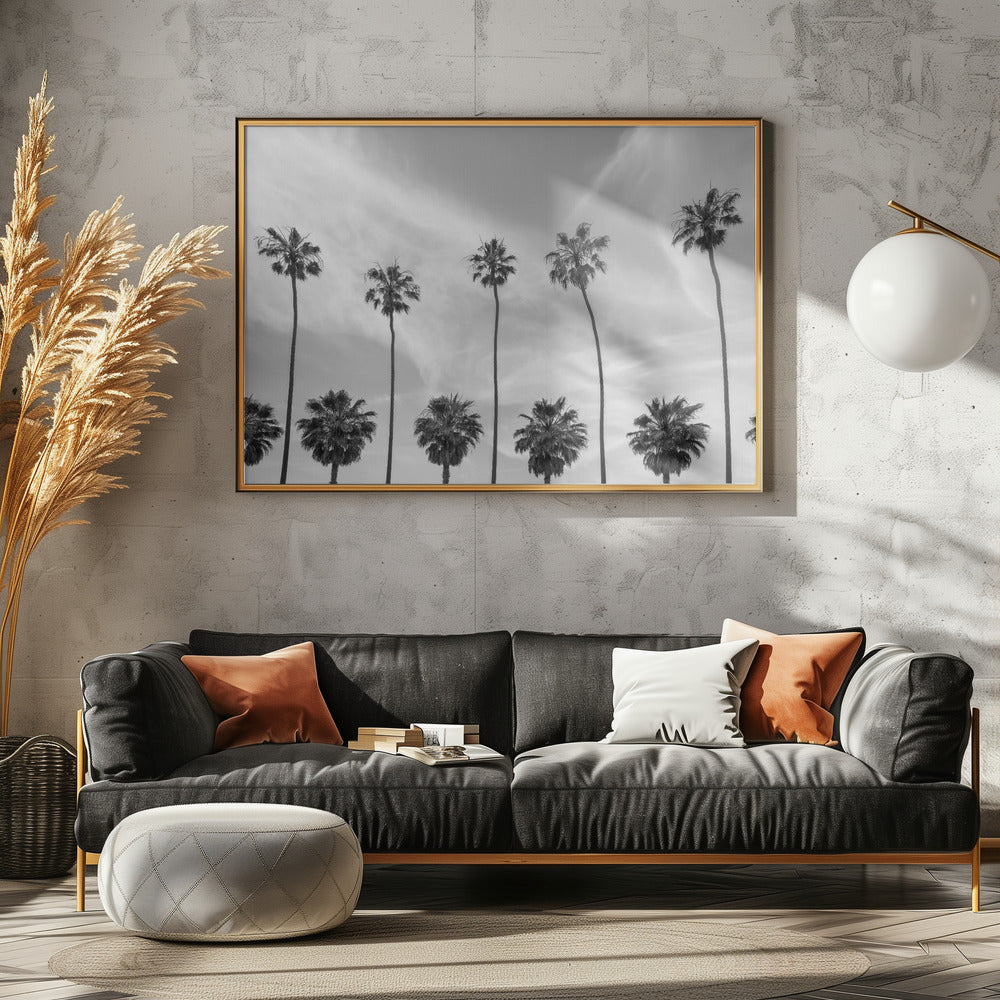 Art Prints of Palm Trees in La Jolla, California