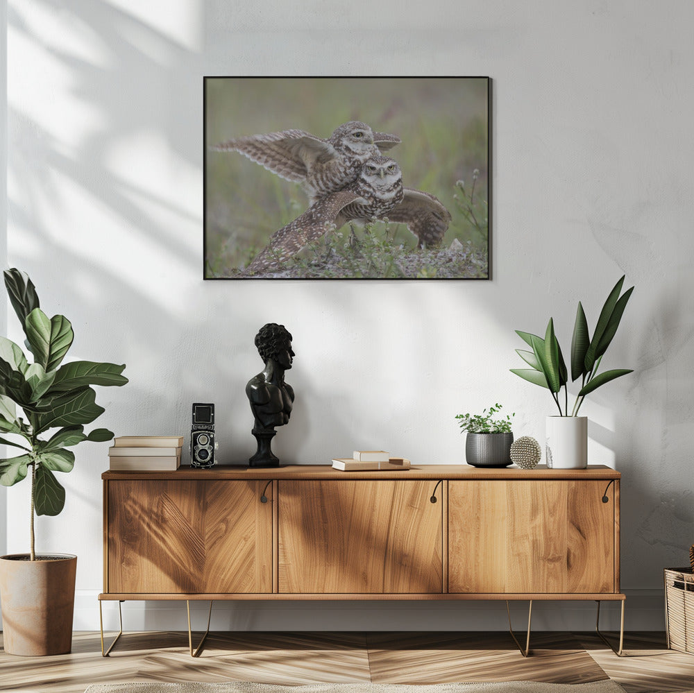 Canvas Art Print Burrowing Owl Love