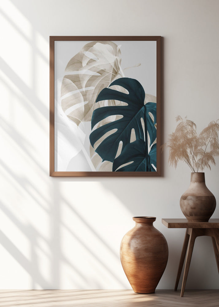 Monstera Creative 05