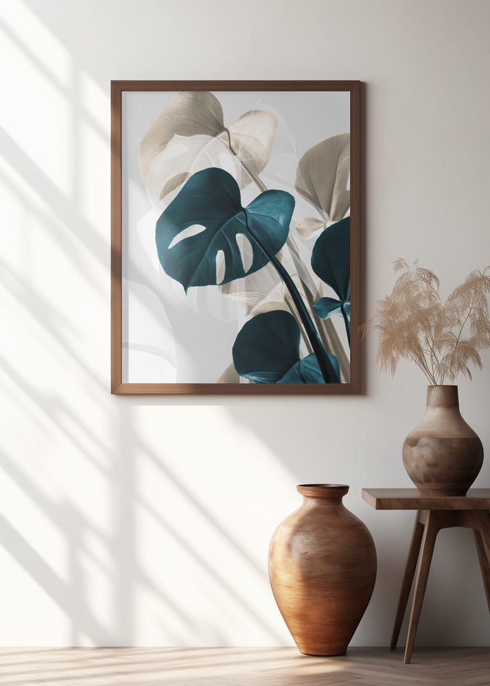 Monstera Creative 10