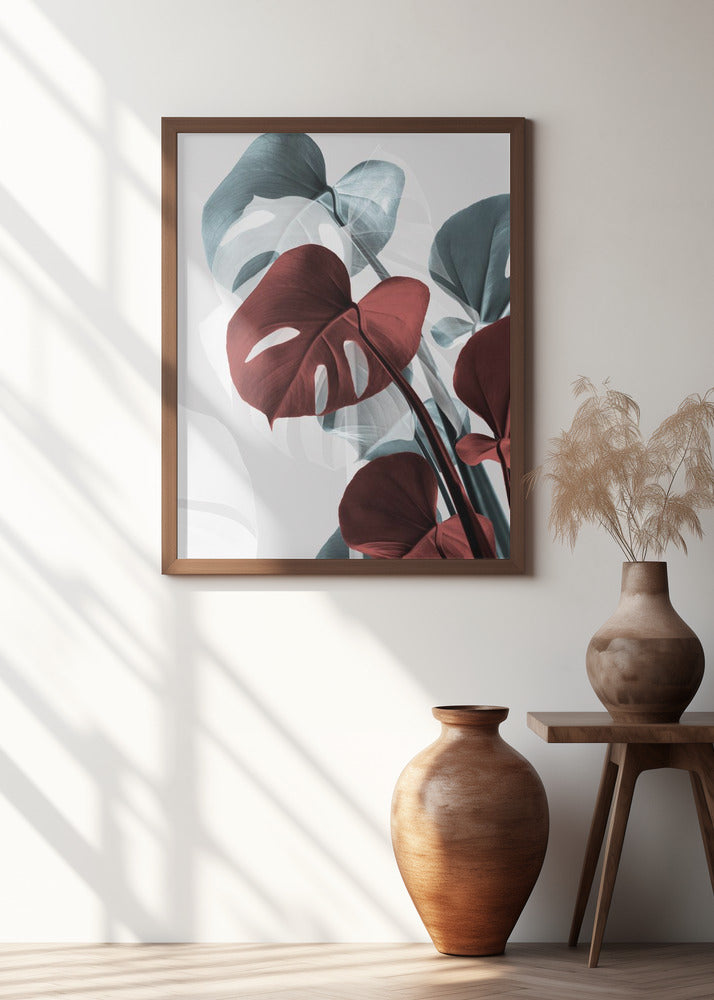 Monstera Creative 15