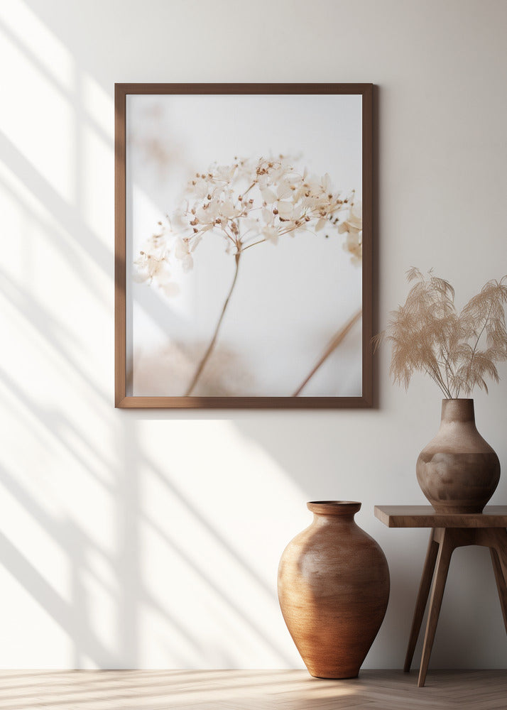 Soft dried flower_brown