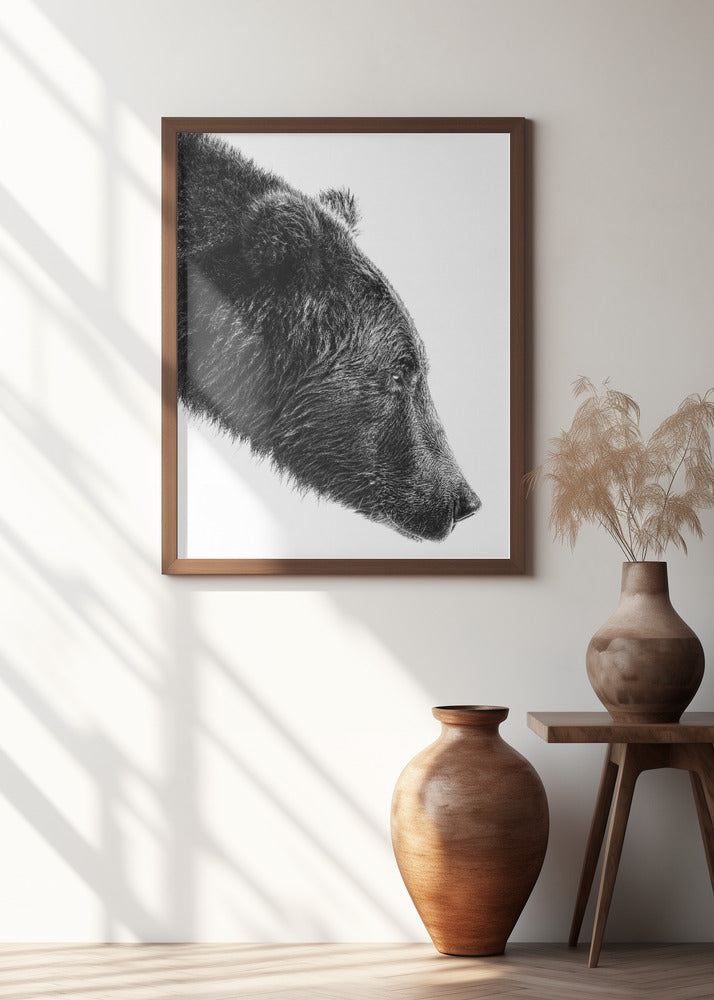 Art Prints of The Salmon Catcher