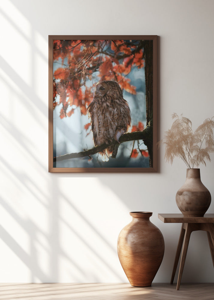 Art Prints of Resting owl with prey
