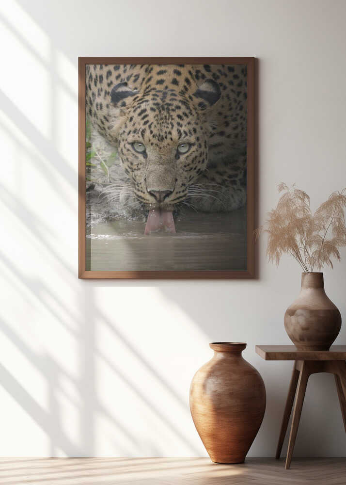 A mesmerising gaze of the fierce