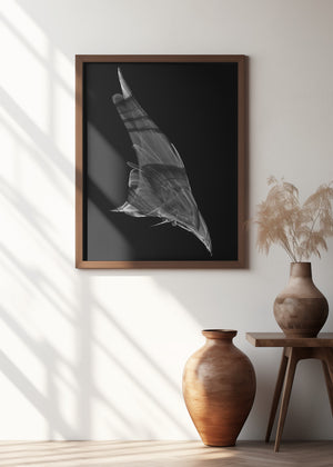 Canvas Art Print The Dive