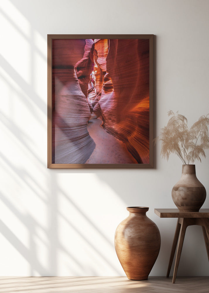 The curves and colors of nature