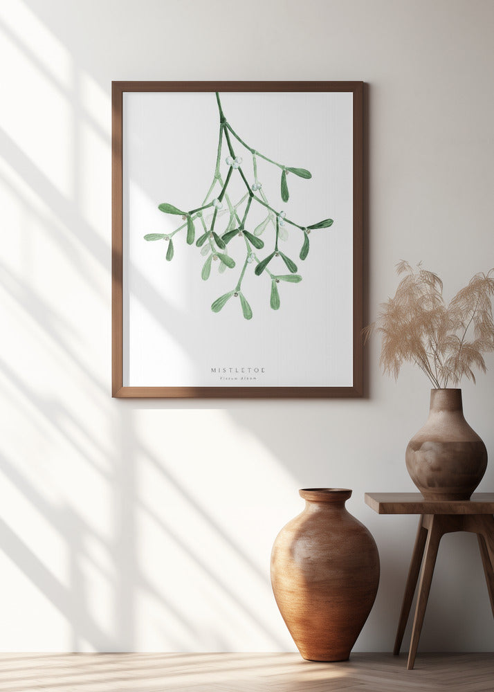 Watercolor mistletoe