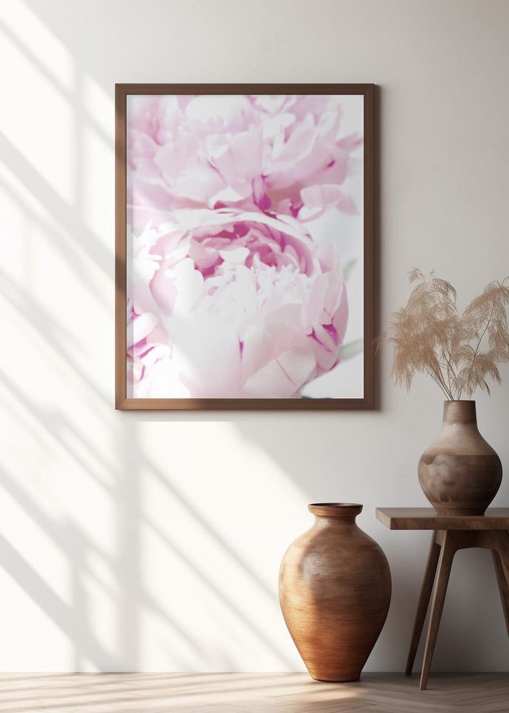 Subdued peony X