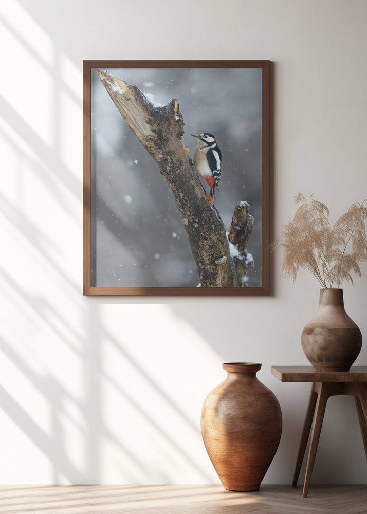 Picchio nella tormenta