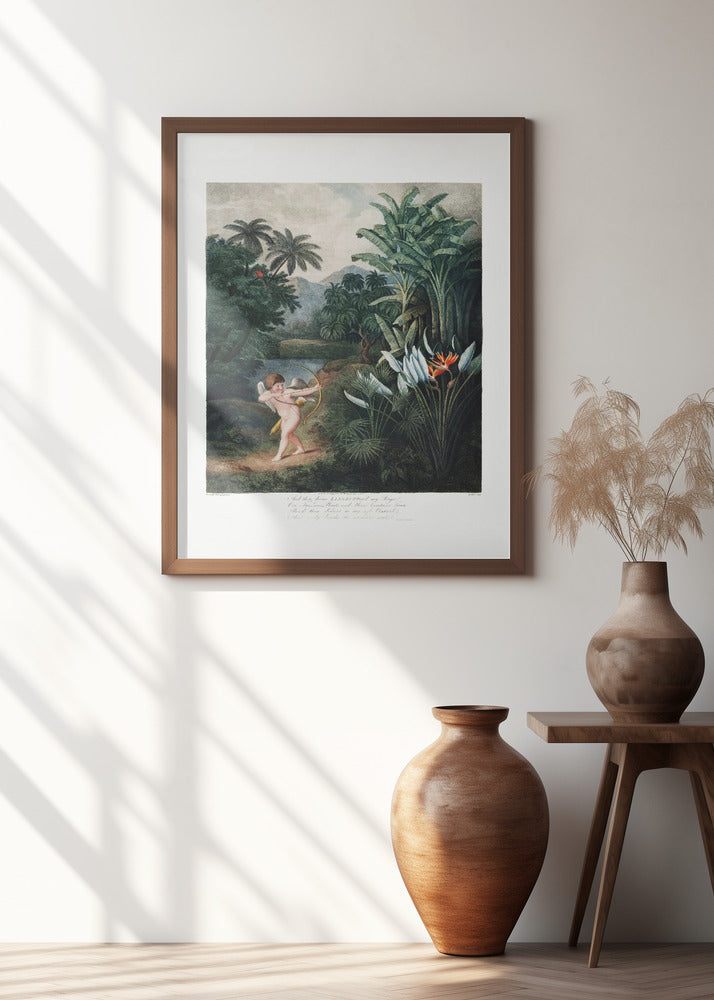 Cupid Inspiring Plants with Love from The Temple of Flora (1807)