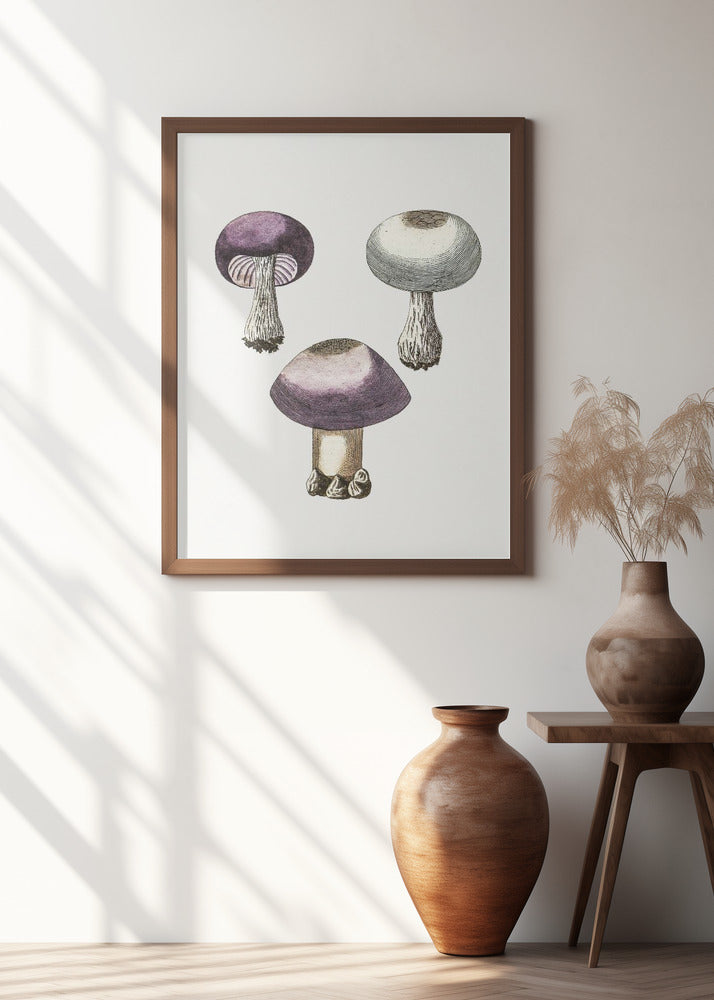 Hand Darwn Violet Webcap Mushroom