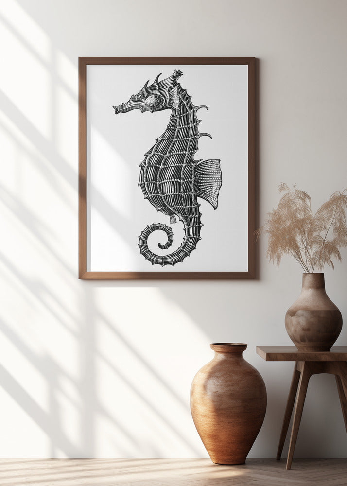 Seahorse
