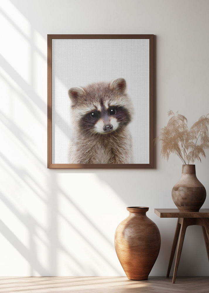 Peekaboo Raccoon