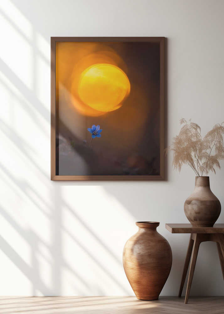 Another spring flower