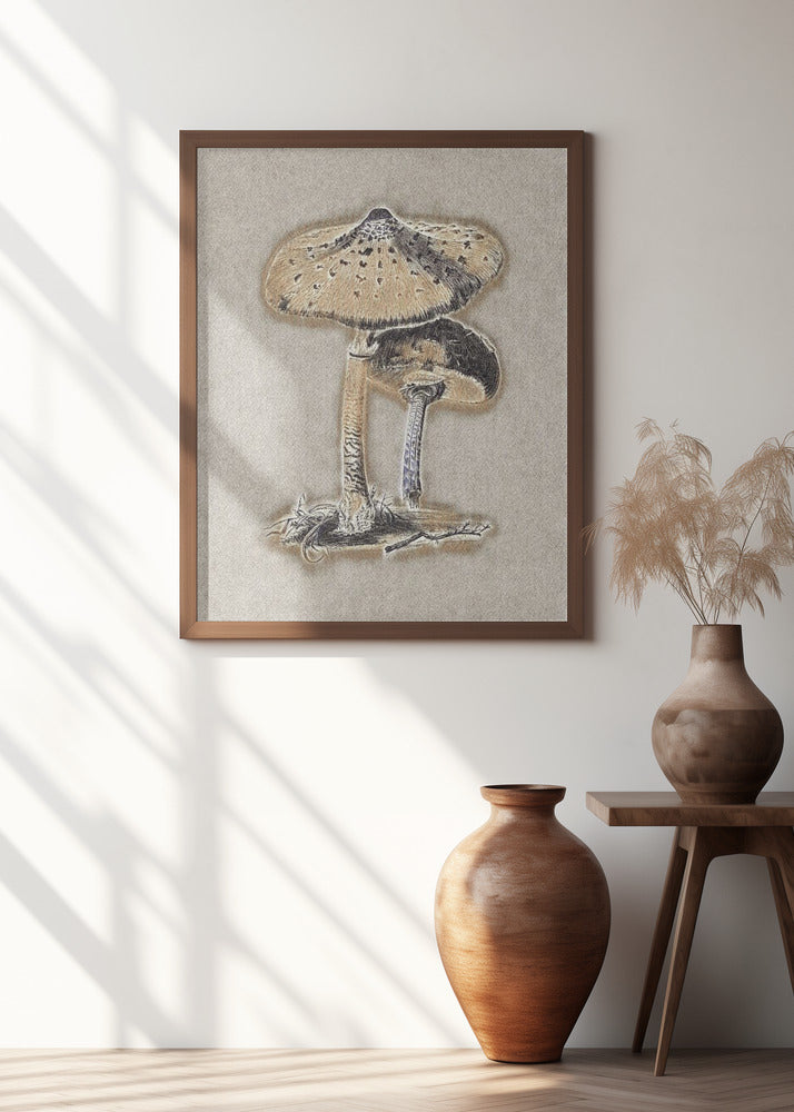 Hand Drawn Parasol Mushroom Brown